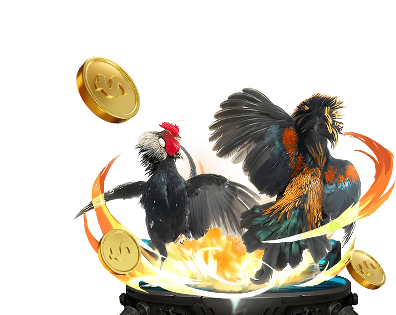 Nền tảng coi đá gà Thomo trực tiếp an toàn và uy tín